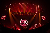 「＜ライブレポート＞打首獄門同好会、結成20周年ツアー【20!+39!=59! TOUR】完遂「何歳から始めても遅くない」」1枚目/20