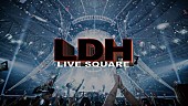 「LDHのライブ映像が見放題、サブスクサービス「LDH LIVE SQUARE」来年始動」1枚目/1