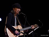 「あがた森魚、2025年4月にビルボードライブ公演決定　ゲストに盟友・鈴木慶一」1枚目/2