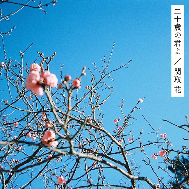 「関取花、新曲「二十歳の君よ」配信リリース＆MV公開」1枚目/3