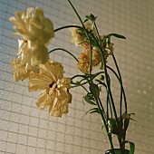 「(C)服部恭平」2枚目/3