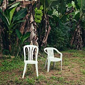 「【米ビルボード・アルバム・チャート】バッド・バニー新作1位浮上、テイラー・スウィフトのライブ盤が続く」1枚目/1