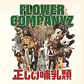 「アルバム『正しい哺乳類』」2枚目/2