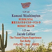 「ルディメンタル／トリー・ケリー／スカパラら出演決定、5月開催【GREENROOM FESTIVAL】」1枚目/3