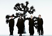 「Plastic Tree、全アルバムライブ＆ツアー【Plastic Tree Phylogenetic Tree Live/Tour 2025-2027】を開催」1枚目/1
