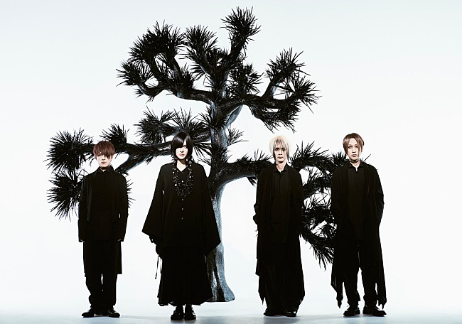 「Plastic Tree、全アルバムライブ＆ツアー【Plastic Tree Phylogenetic Tree Live/Tour 2025-2027】を開催」1枚目/1