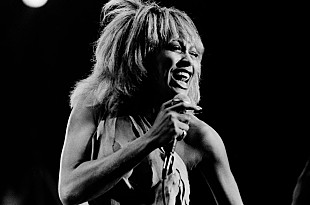 「故ティナ・ターナー、『プライヴェート・ダンサー』の未収録曲「Hot For You Baby」が公開」