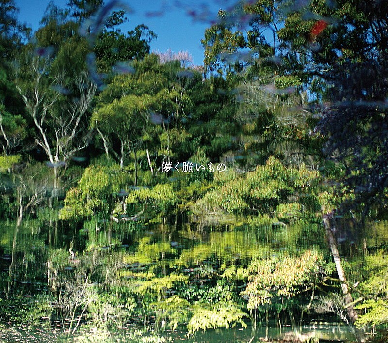 「藤巻亮太 アルバム『儚く脆いもの』初回限定盤」4枚目/4