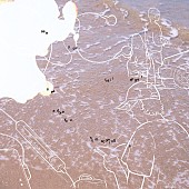 「Homecomings、AL『see you, frail angel. sea adore you.』アナログ盤リリース決定」1枚目/2