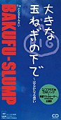 「爆風スランプ シングル『大きな玉ねぎの下で～はるかなる想い』」2枚目/3
