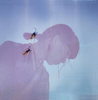 青葉市子、静謐なバラードの新曲「SONAR」MV公開 | Daily News