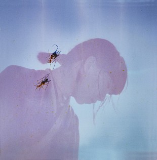 「青葉市子、静謐なバラードの新曲「SONAR」MV公開」