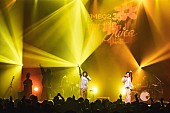 「imase／jo0ji／なとりが音楽イベント【Juice】で初饗宴「3人で舞台に立てることが嬉しい」」1枚目/9