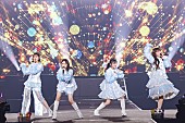 「ももクロ、13回目の【バレイベ】公式レポ到着　テーマは“鳥”と“花”」1枚目/25