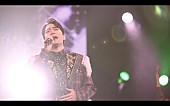「【山崎育三郎 全国TOUR 2024 『THE HANDSOME』】ライブ映像上映会、東京／大阪の映画館で開催」1枚目/2