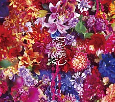 完全生産限定盤　「薬屋のひとりごと」 幾田りら／百花繚乱　オリジナル缶バッジ付き 薬屋のひとりごと」妖艶な猫猫が目印…♪ 第2期OPテーマ、幾田