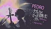 「PEDRO【ラブ&amp;amp;ピースツアー】ファイナルのライブ映像を全編公開」1枚目/1