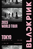 「BLACKPINKがワールドツアーへ、2年7か月ぶり日本公演も決定」1枚目/1