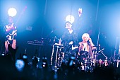 「＜ライブレポート＞Lucky Kilimanjaro、結成10周年を締めくくるツアー完遂「まだまだここから10年皆さんと踊っていきたいです」」1枚目/10