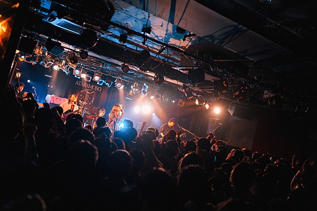 「あたらよ、FC限定ライブで初となる韓国公演の開催発表」1枚目/2