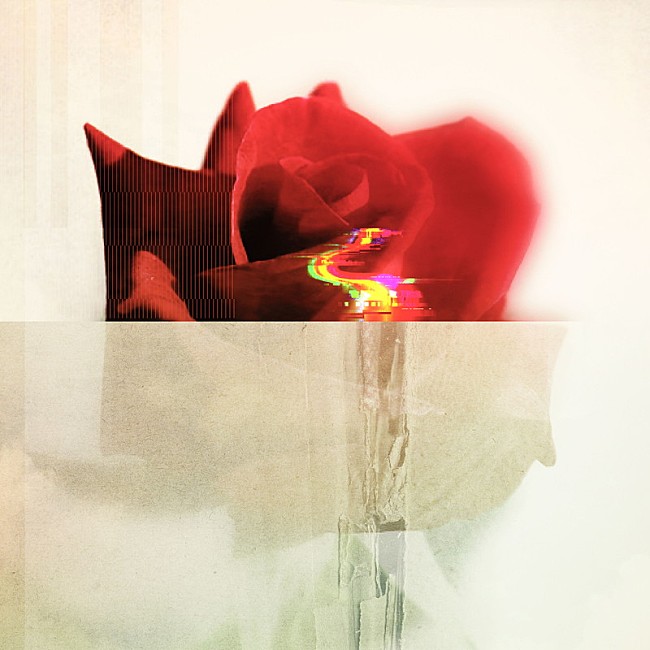 「神はサイコロを振らない 配信シングル「Lovey Dovey」」2枚目/2