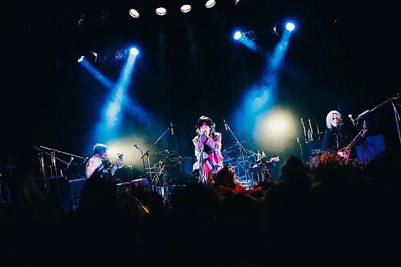 「Photo by Megumi Iritani」3枚目/12