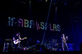 「＜ライブレポート＞INABA／SALAS、8年ぶりにファンと再会「皆さんの素敵な表情と声援いっぱいいただきました」」1枚目/8