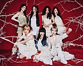 「HANA「ROSE」総合首位獲得コメントが到着「これからも力強く前進してまいります！」」1枚目/1