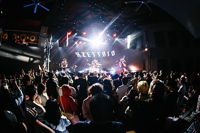 「Photo by 海淀闌尾」2枚目/17