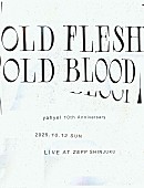 「yahyel、結成10周年スペシャルライブを開催」1枚目/3