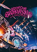 「Novel Core LIVE DVD＆Blu-ray『“BRAIN LAND” at K-Arena Yokohama』通常盤」3枚目/4