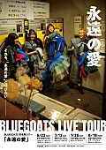 「青春パンクアイドル・BLUEGOATS、東名阪ツアー【永遠の愛】開催決定　過去最大総キャパシティへの挑戦」1枚目/1