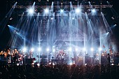 「＜ライブレポート＞Official髭男dism、レアなセットリストで特別な夜をお届け　スタジアムライブに向け更なる熱狂へ」1枚目/6