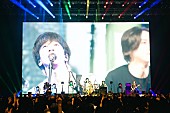 「＜ライブレポート＞フィーダー×ELLEGARDEN、 積み重ねてきた歴史が鳴り響いた【Sonic Bridges Tour 2025】」1枚目/21