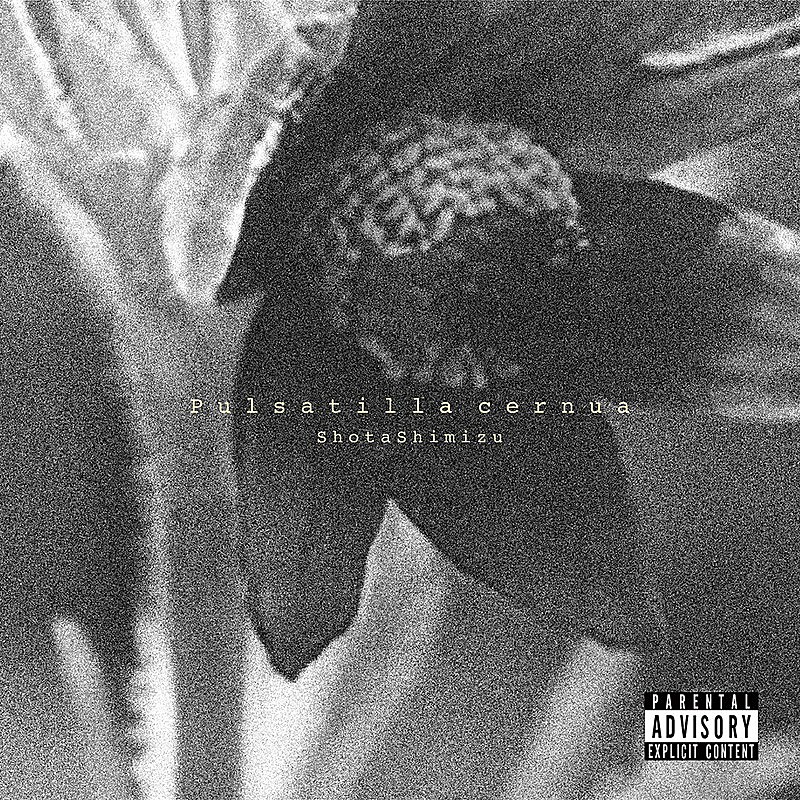 清水翔太、新曲「DON'T FORGET MY NAME」先行配信＆MV公開