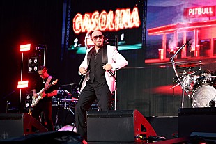 「ピットブル、英公演で自身のコスプレをするファンのトレンドに“プライスレス”と反応」