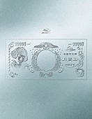 「椎名林檎 LIVE Blu-ray『(生)林檎博&amp;#039;24―景気の回復―』通常盤」17枚目/18