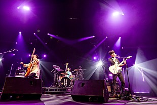 「UNISON SQUARE GARDEN、20周年オールタイムベストツアーより「MR.アンディ」ライブ映像を公開」