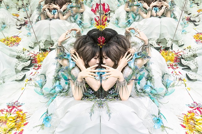 「Aimer」2枚目/5