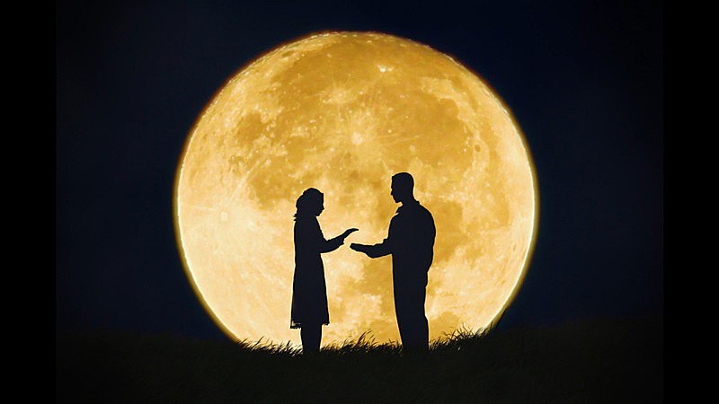 「『yutori 「月と私のかくれんぼ」Music Video』」2枚目/11