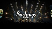 「Suchmos、新曲「Whole of Flower」ライブ映像公開　【The Blow Your Mind 2025】横アリ公演より」1枚目/4