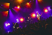 「ブランデー戦記、【BRANDYSENKI 1ST ALBUM RELEASE TOUR】のオフィシャルレポートが到着」1枚目/9