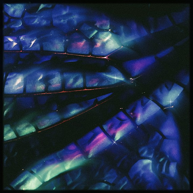 「勢喜遊 &amp; Yohji Igarashi 配信シングル「Tombo feat.Daichi Yamamoto」」2枚目/4