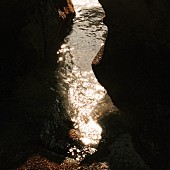 「Hedigan&amp;#039;s、2nd EP『doyes』リリース」1枚目/2