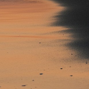 「荒谷翔大の新曲「真夏のラストナンバー」、LUCKY TAPESがリミックス」