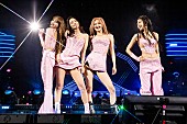 「BLACKPINK、スパイス・ガールズ「Wannabe」をロンドン公演でカバー」1枚目/1