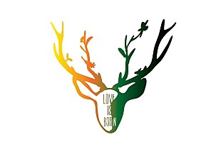 「大塚 愛、アニバーサリーライブ映像作品12/24発売決定」