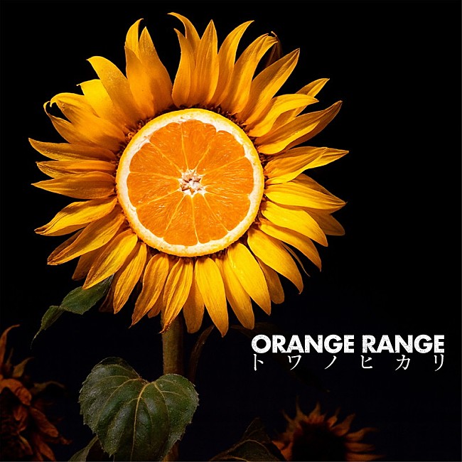 「ORANGE RANGE シングル『トワノヒカリ』」24枚目/26
