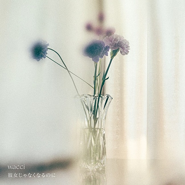 「wacci 配信シングル「彼女じゃなくなるのに」」2枚目/3