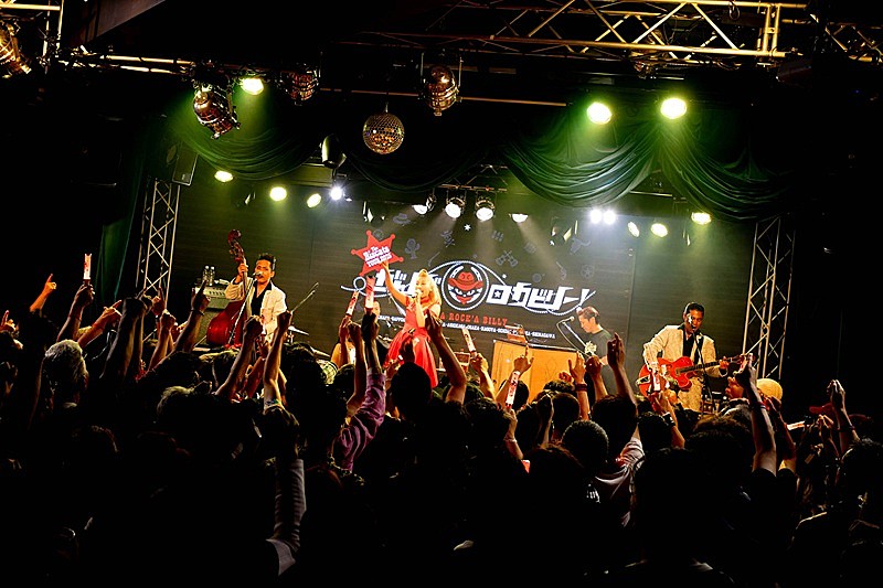 「The Biscats、2025年もMisaki(Vo.)の地元横浜で全国ツアー開幕 “ロカビリーの日”恒例の主催フェスも決定」1枚目/11